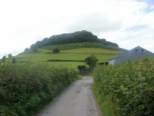 Cam Long Down near Hodgecombe Farm