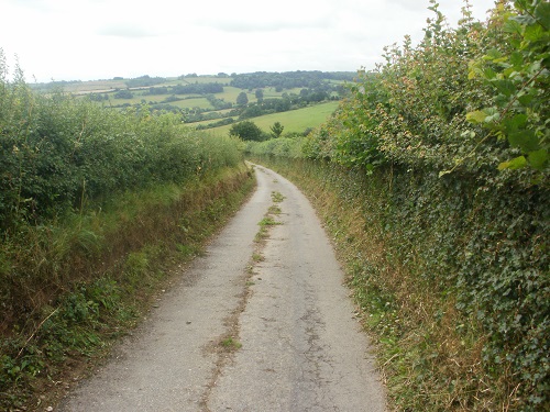 A very narrow lane not wide enough for cars AND walkers