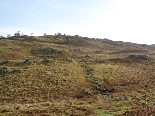 Looking up towards the summit of Black Fell