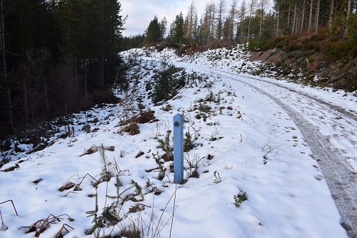 A Great Glen Way marker post in the snow