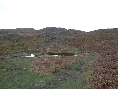Heading towards the top of Loughrigg Head