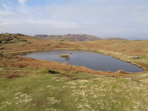 The lovely little Lily Tarn with a bench on the right