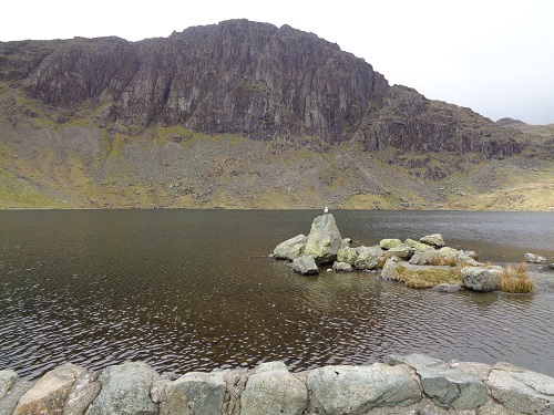 Stickle Tarn with Pavey Ark behind it