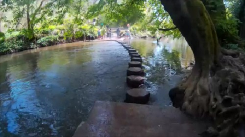 About to cross the wet stepping stones at Box Hill