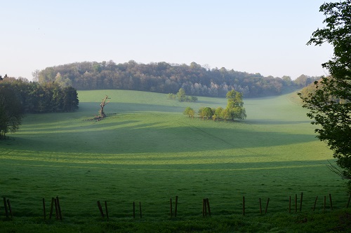 Gatton Park looking lovely in the early morning sunshine