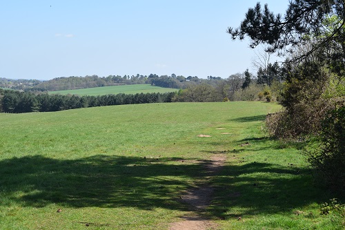 Walking across grassy meadows before Puttenham<