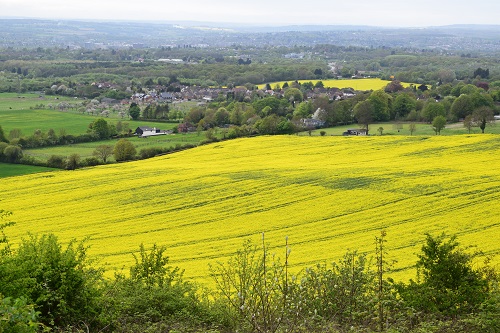 Looking back down towards Detling