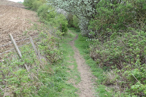 Part of the narrow up and down path above Hollingbourne