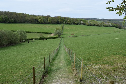 Crossing some fields near the village of Cuxton
