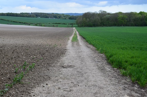 Finally, I was out in the open with views, near Boughton Lees