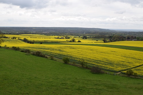 The views from the trail were panoramic and colourful at times