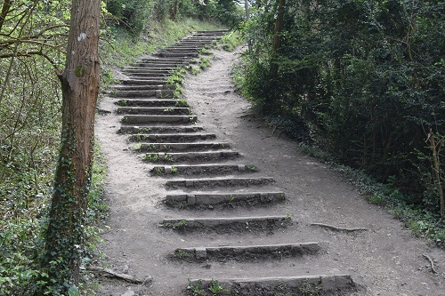 Lots of very steep steps eventually took me to Box Hill