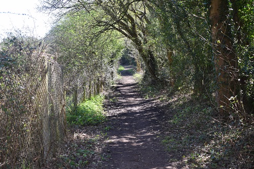 Just leaving Farnham at the start of the North Downs Way