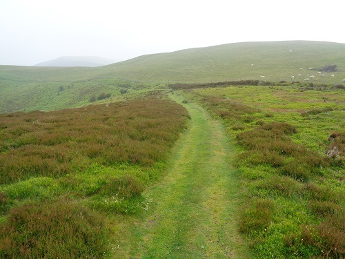 Lovely green paths would be a welcome start to the day