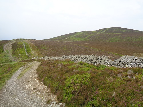 Part of the ridge walk after Moel Famau