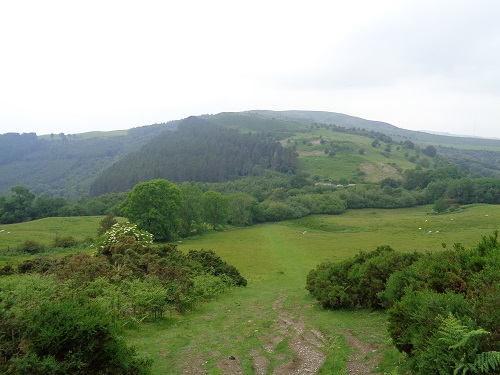 Heading down towards the woodland of Coed Llangwyfan