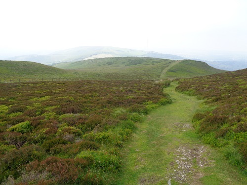 Heading down lovely paths towards Bodfari