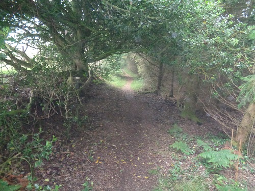 Welcome shelter at the start of a rainy morning