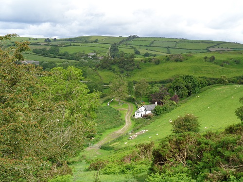 Brynorgan Cottage and the line of the Dyke on Llanfair Hill