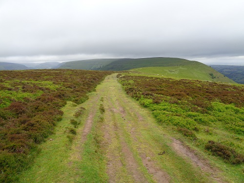 Part of the lovely 10 mile walk along the Hatterrall Ridge