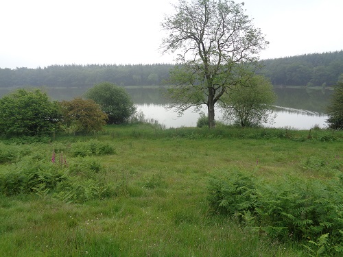 Walking past the fishing lake after llanarmon