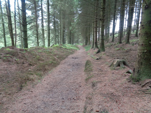 Passing through the lovely Llandegla Forest paths