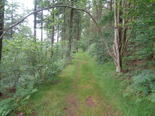 Part of Offa's Dyke near Evenjobb