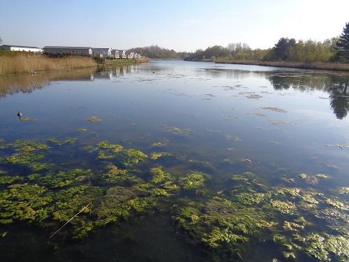 The boating lake, part of the Pinewoods Holiday Park in Wells-Next-The-Sea