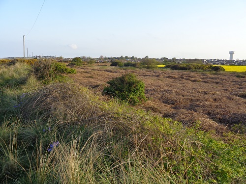 My first distant view of Caister-On-Sea