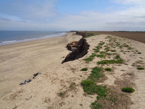 Part of the eroded cliff top path after Happisburgh