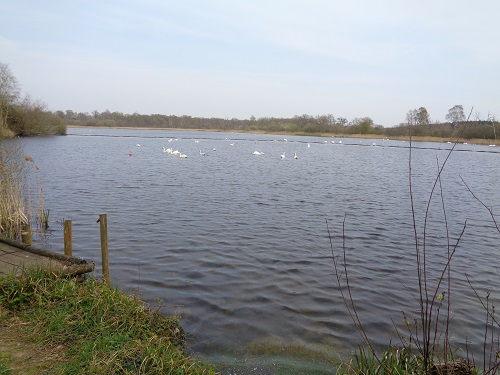 Looking over the lovely Thompson Water