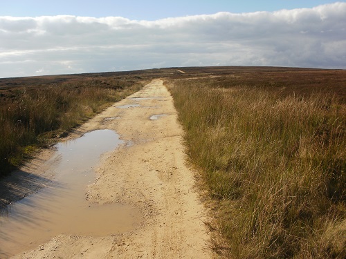 Quite a few miles of disused railway track like this after the Lion Inn