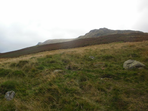 Looking up at the ridge leading to Kidsty Pike summit