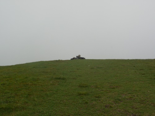 Getting near the grassy summit of Lonscale Fell