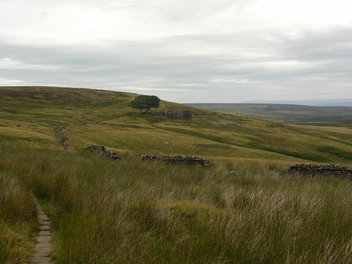 The ruins of Top Withins, said to be the inspiration behind Wuthering Heights