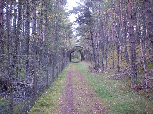 Part of the disused railway path between Nethy Bridge and Grantown On Spey