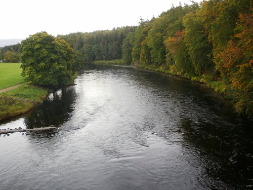 The River Spey just before Grantown On Spey