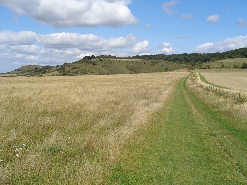 Ivinghoe Beacon in the distance, the end of the trail