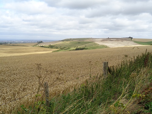 Looking towards the Liddington Castle iron age hill fort