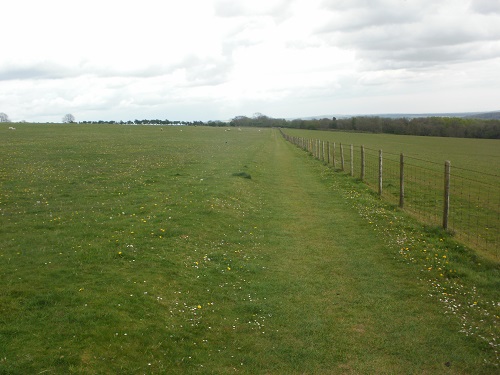 A lovely grassy section of the South Downs Way