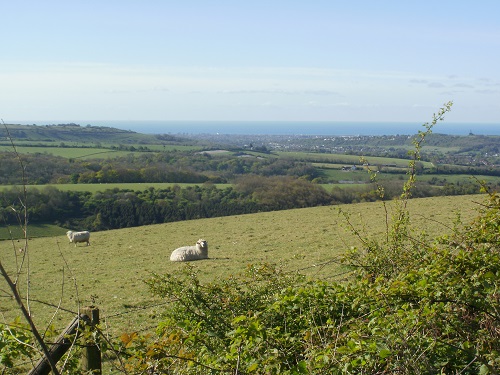 A lovely sunny view of the Sea to the right of the Way