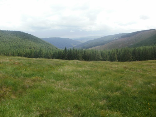 A lovely grassy ridge walk followed Benbrack