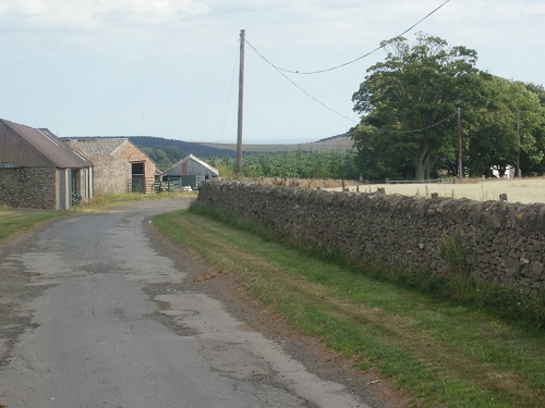 My first sight of the Sea, just over the telegraph pole