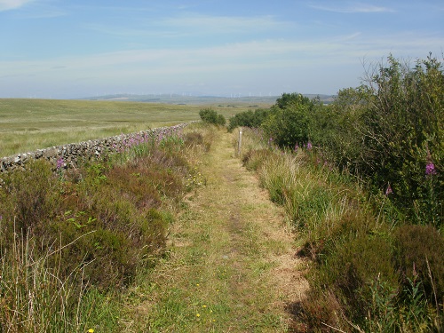 A nice grassy path near Glenwhan Moor, a nice change from tarmac