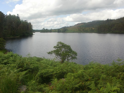 The lovely Loch Trool