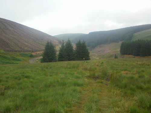 Approaching the track near to Cogshead