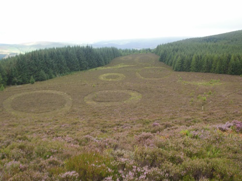 The Point of Resolution heather sculpture on Minch Moor
