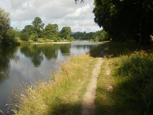 A lovely morning riverside walk beside the River Tweed