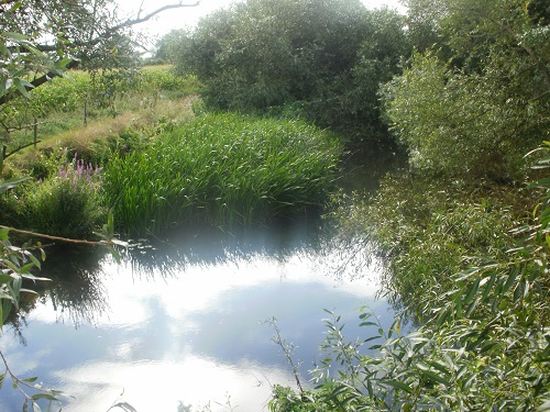 Once the Thames reappeared, it was narrow and overgrown