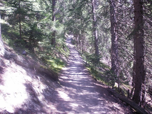 The steep forest path between Issert and Champex
